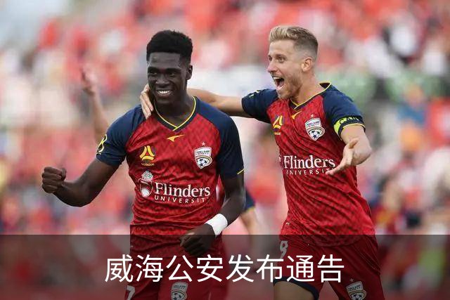 威海公安发布通告